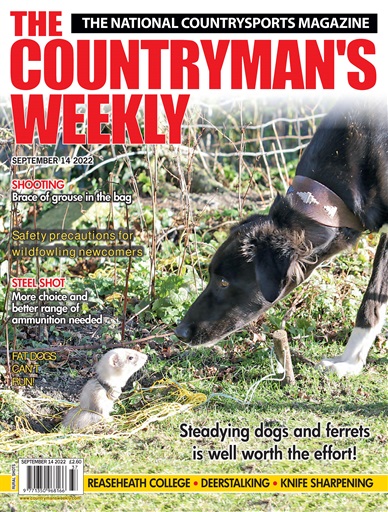 Countryman's Weekly issue 