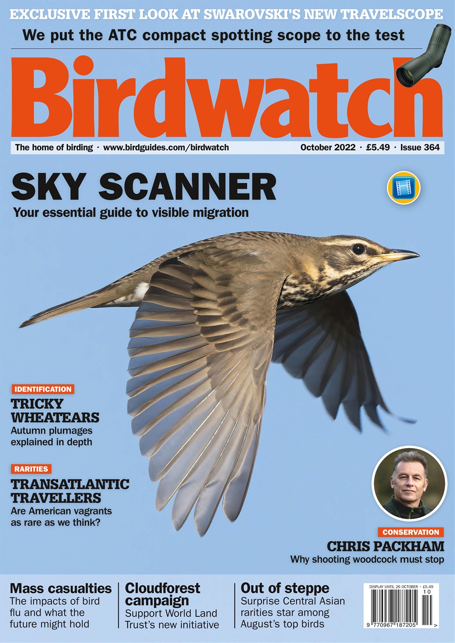 Birdwatch Magazine Preview Pages