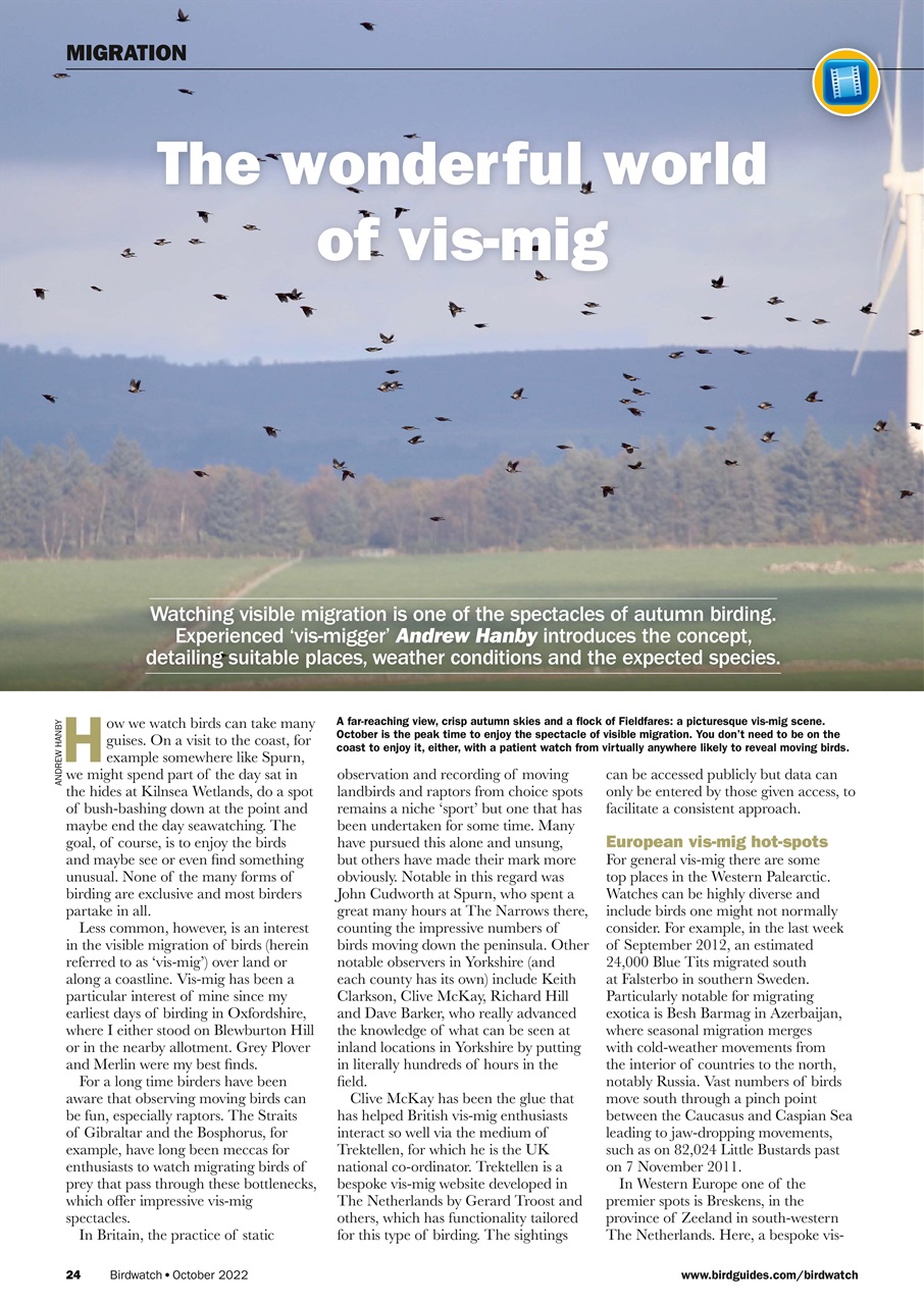 Birdwatch Magazine Preview Pages