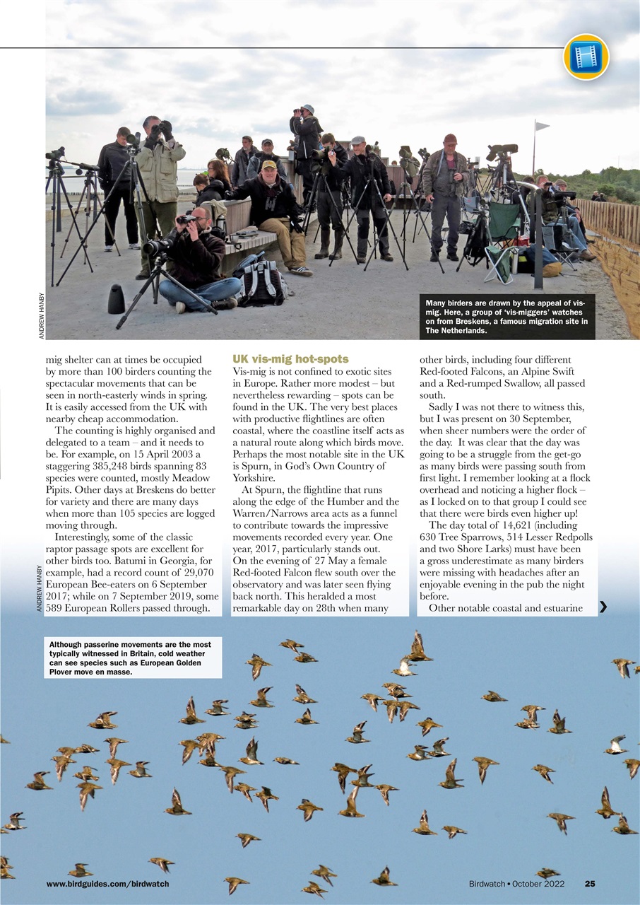 Birdwatch Magazine Preview Pages