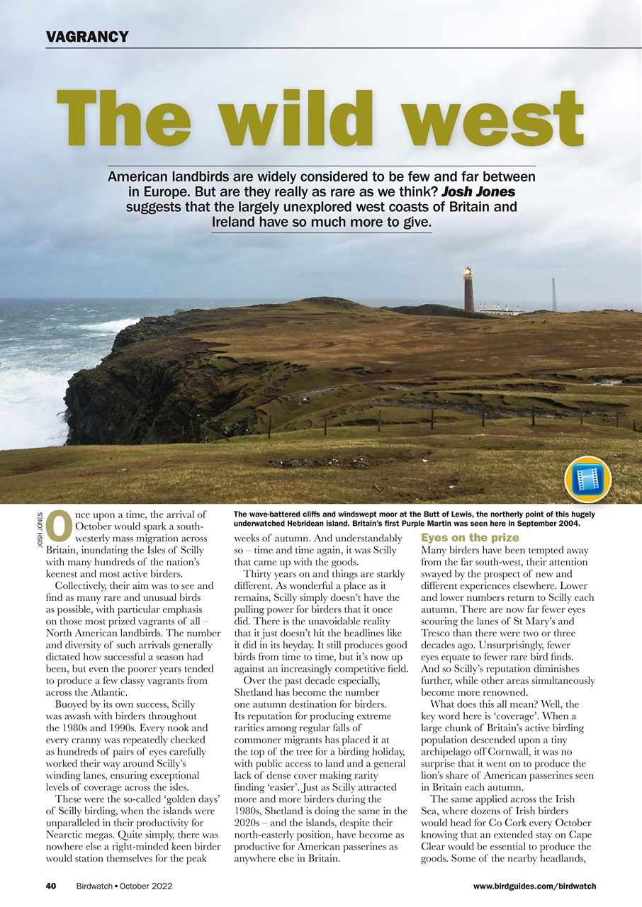 Birdwatch Magazine Preview Pages