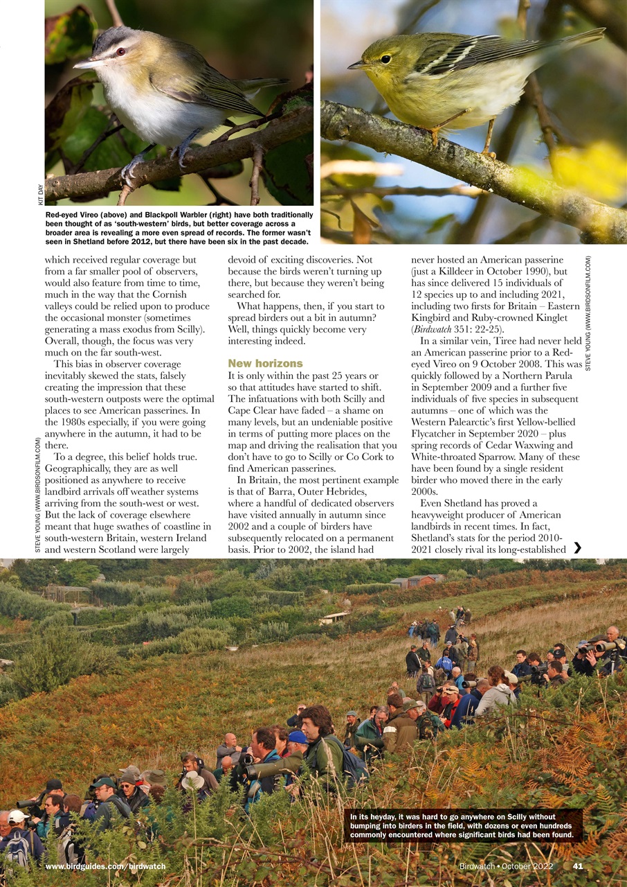 Birdwatch Magazine Preview Pages