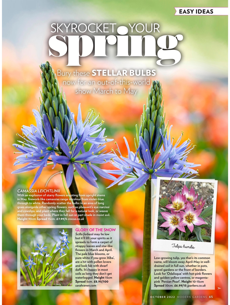 Modern Gardens Preview Pages