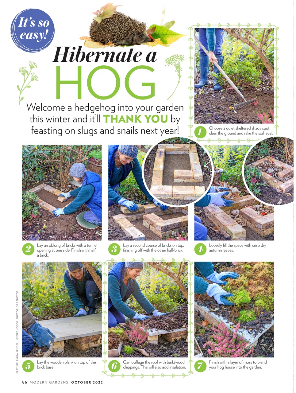 Modern Gardens Preview Pages