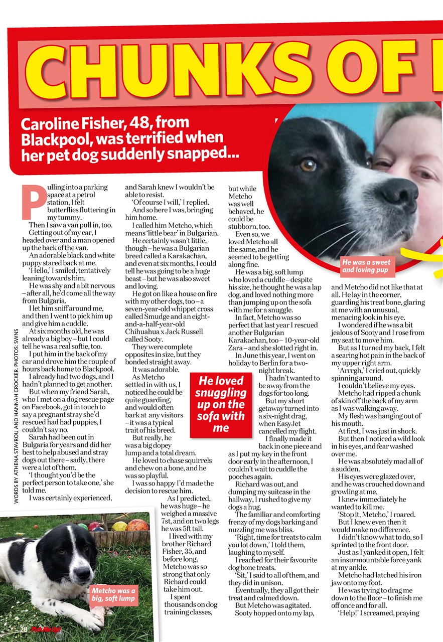 Pick Me Up Preview Pages