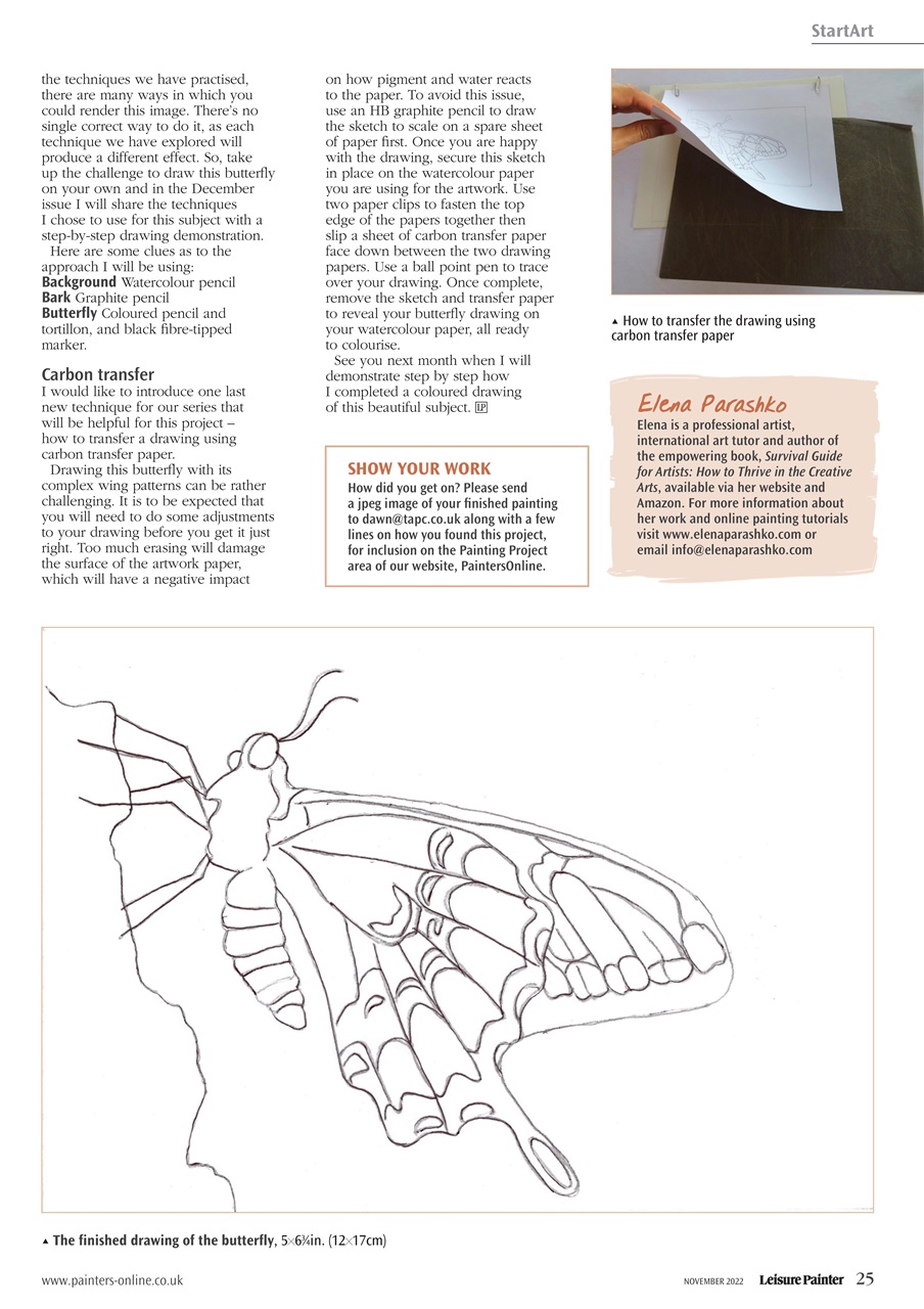 Leisure Painter & The Artist Preview Pages