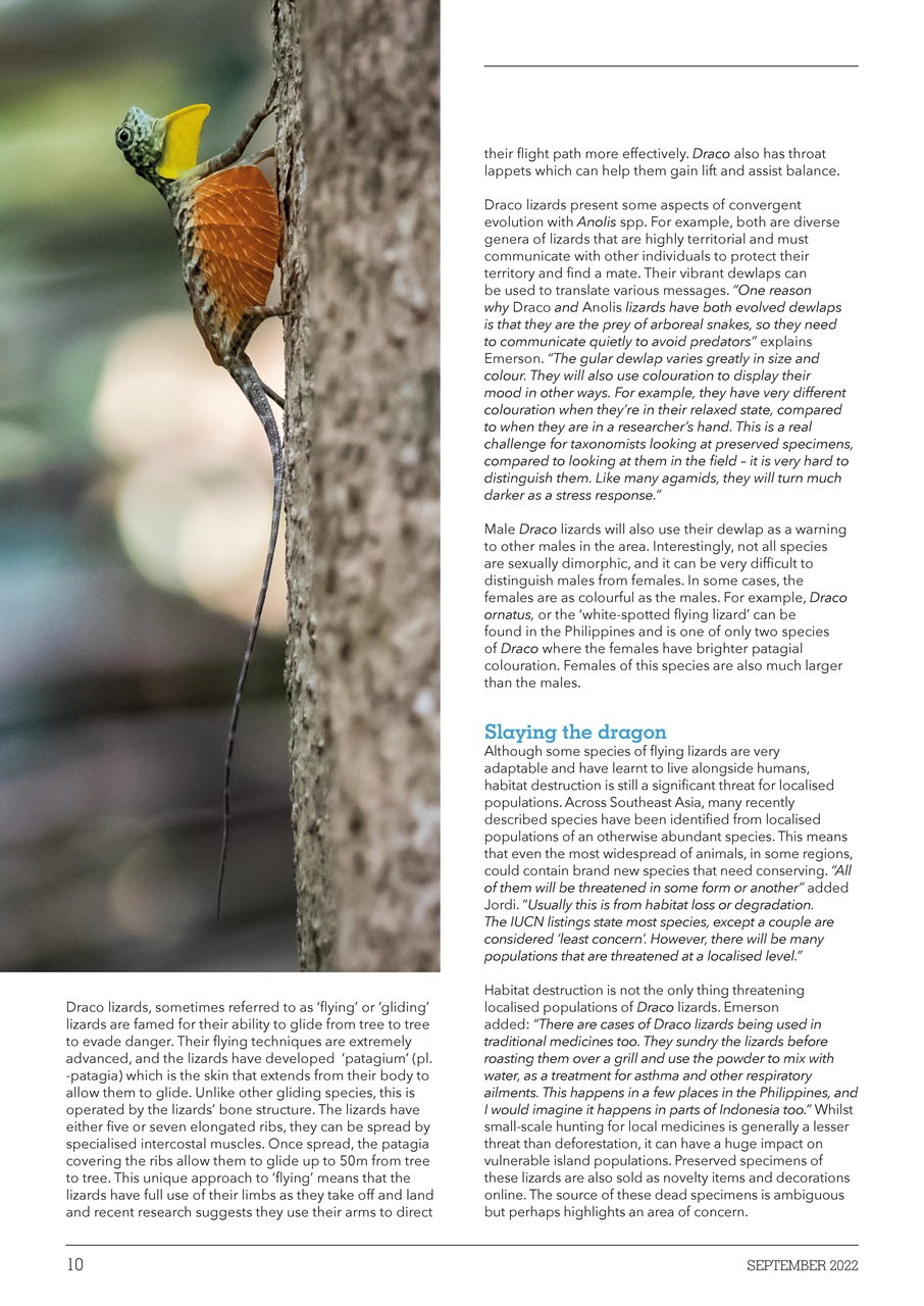 Exotics Keeper Preview Pages