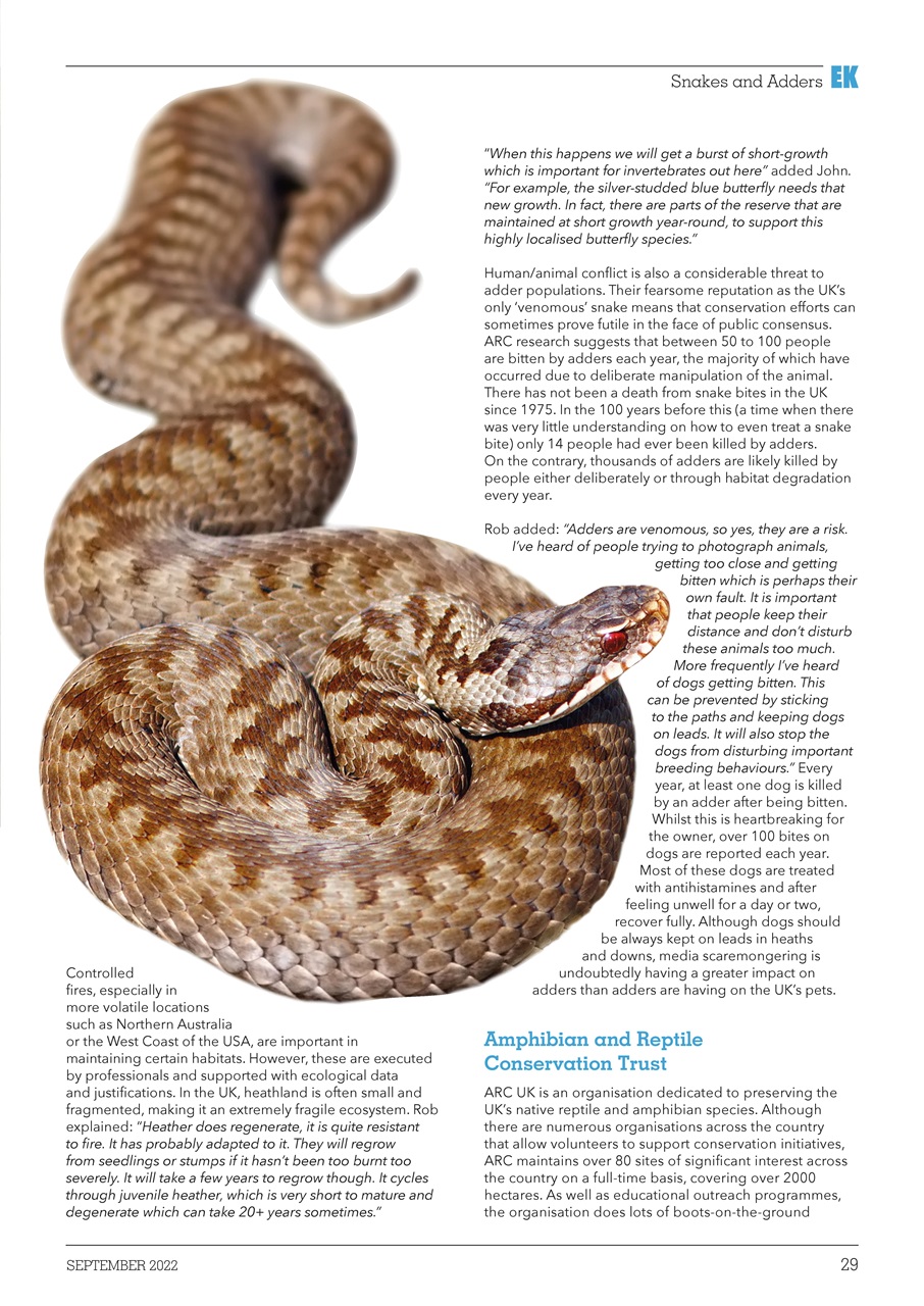 Exotics Keeper Preview Pages