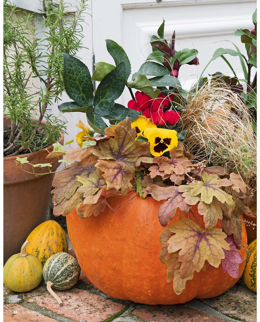 BBC Gardeners’ World Magazine Preview Pages