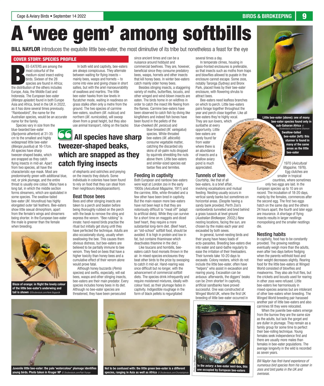 Cage & Aviary Birds Preview Pages