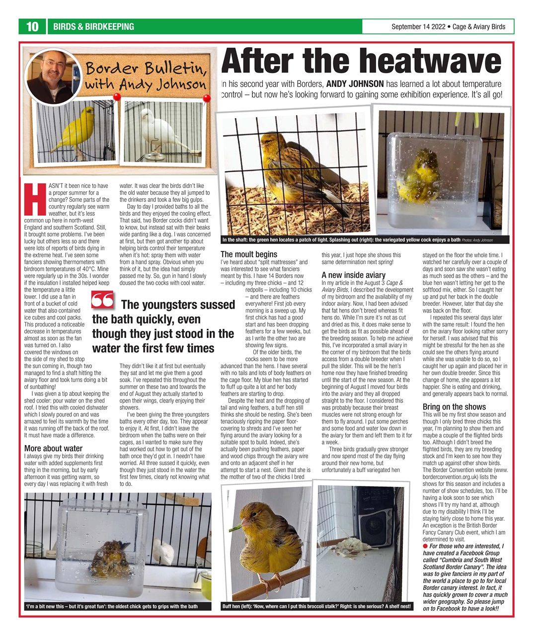 Cage & Aviary Birds Preview Pages