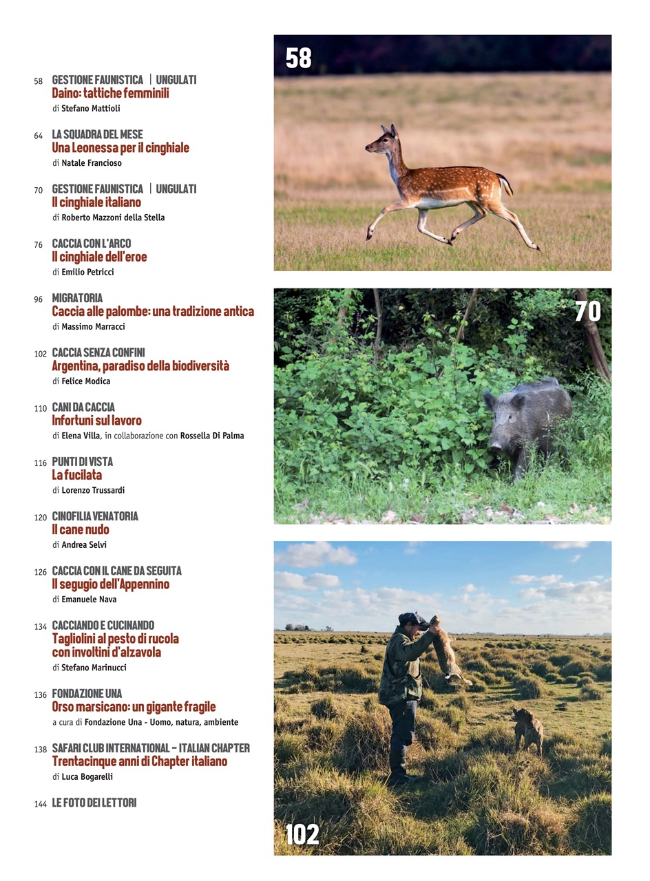 Caccia Magazine Preview Pages