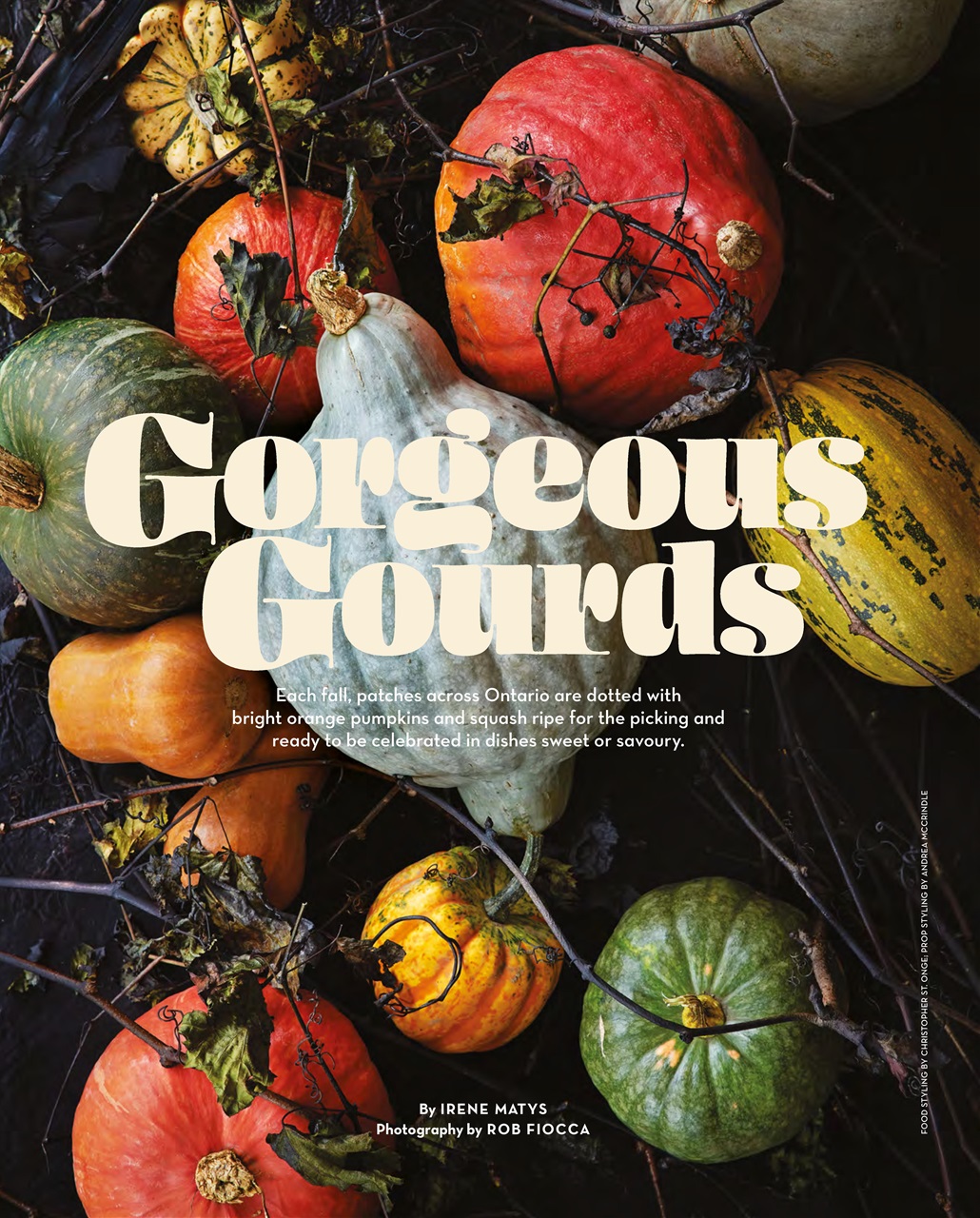 LCBO Food & Drink Preview Pages