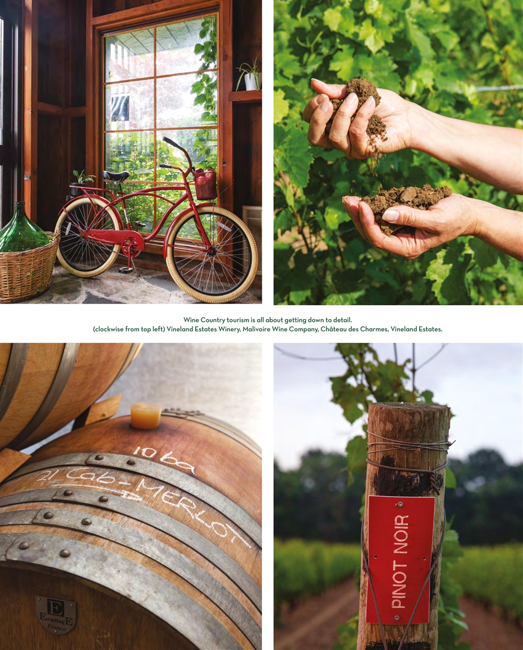 LCBO Food & Drink Preview Pages
