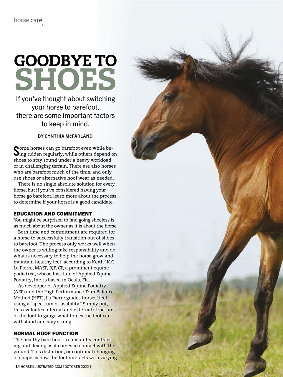 Horse Illustrated Magazine Preview Pages