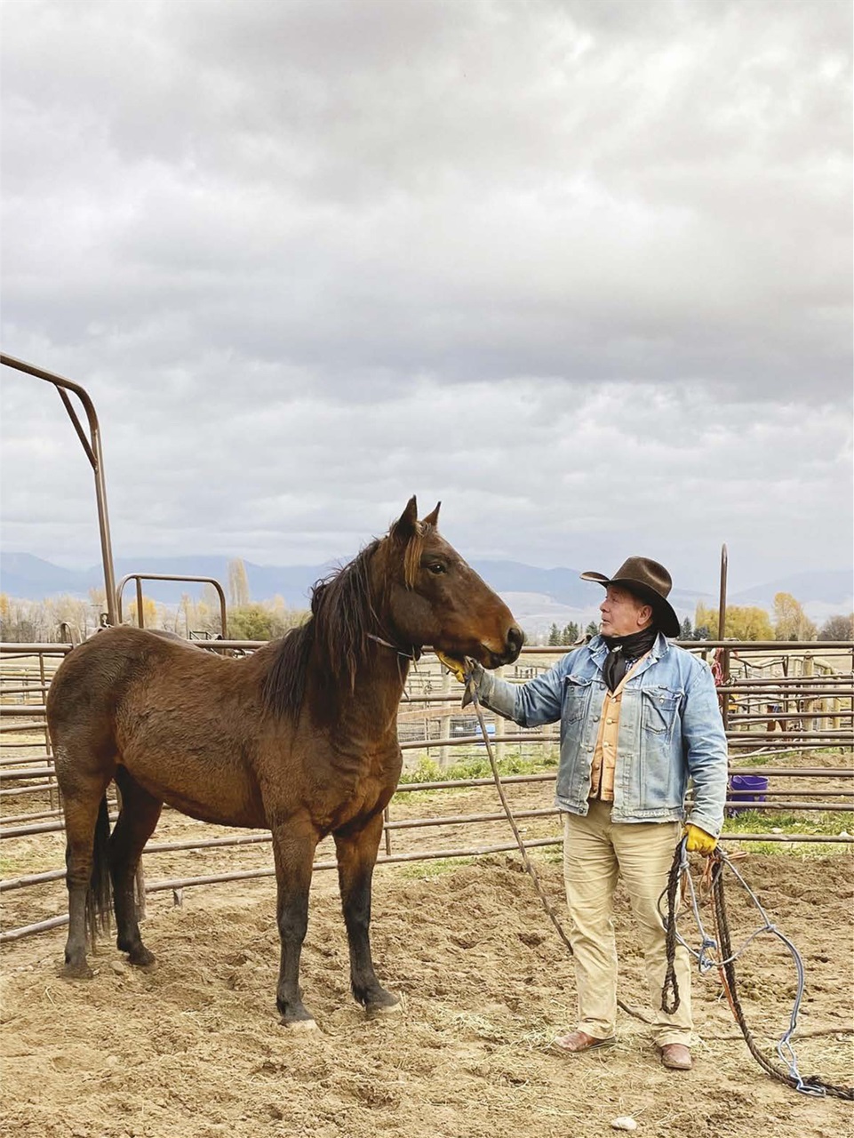 Horse Illustrated Magazine Preview Pages