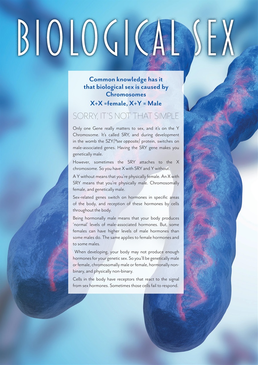 Transliving Magazine Preview Pages