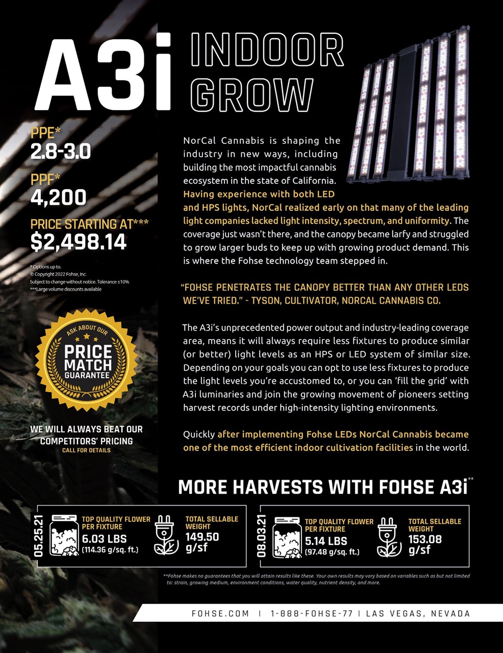 Cannabis Now Preview Pages