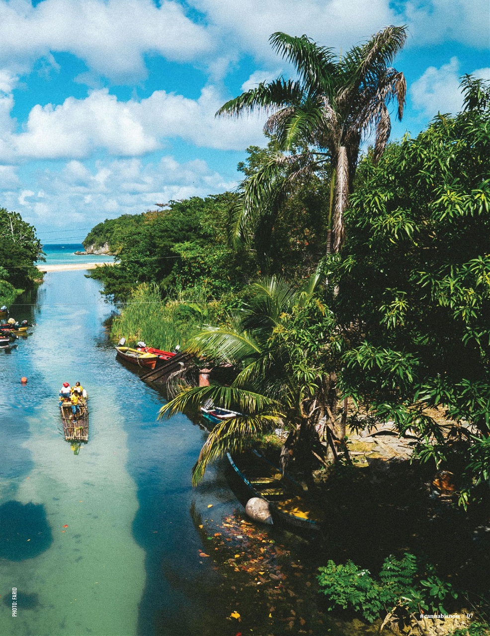 Cannabis Now Preview Pages