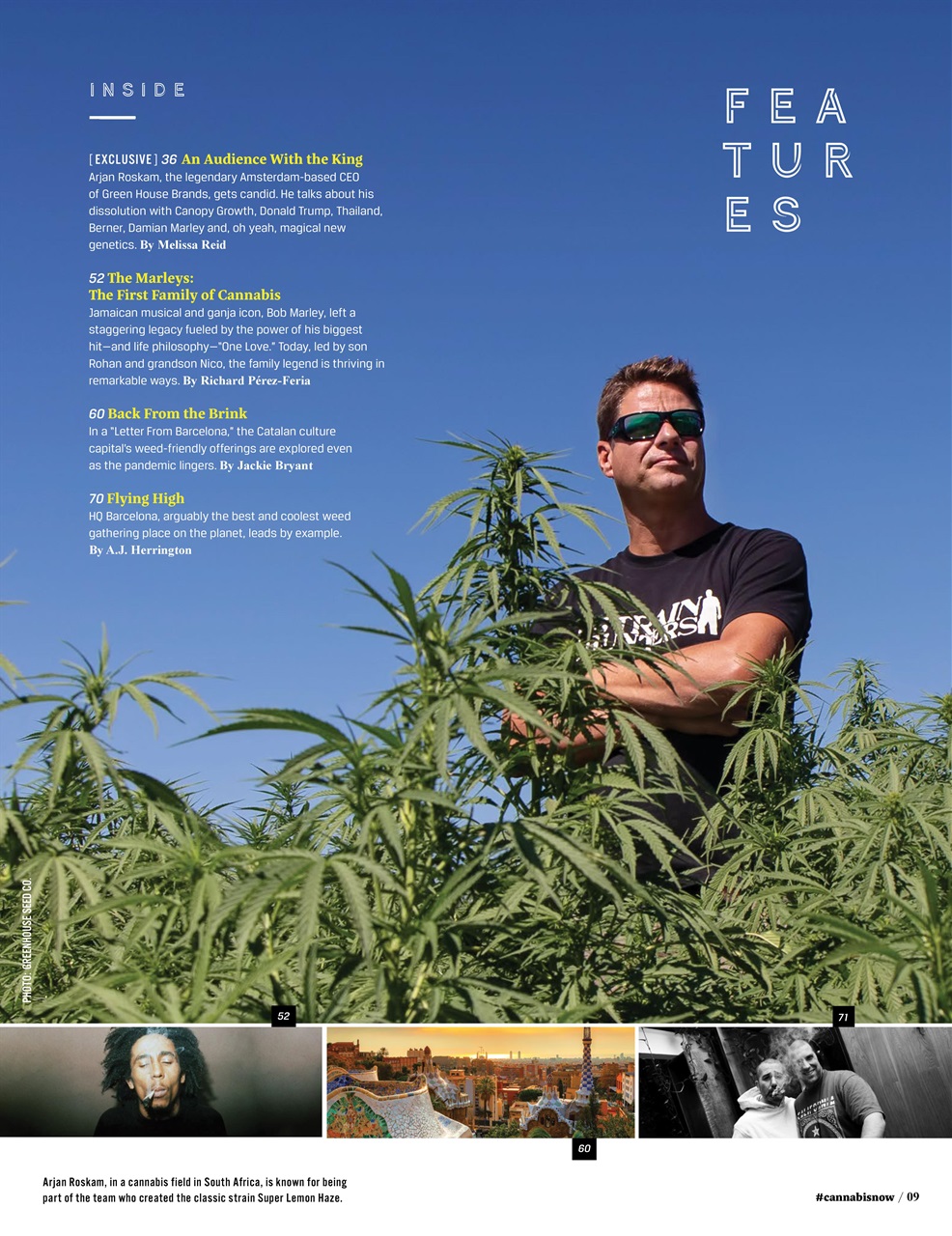 Cannabis Now Preview Pages