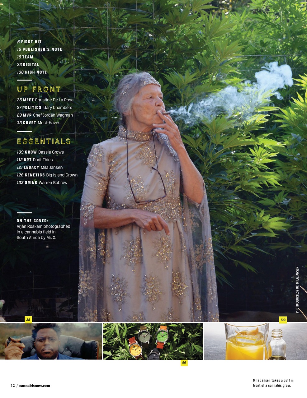 Cannabis Now Preview Pages