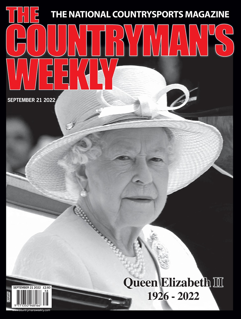 Countryman's Weekly Preview Pages