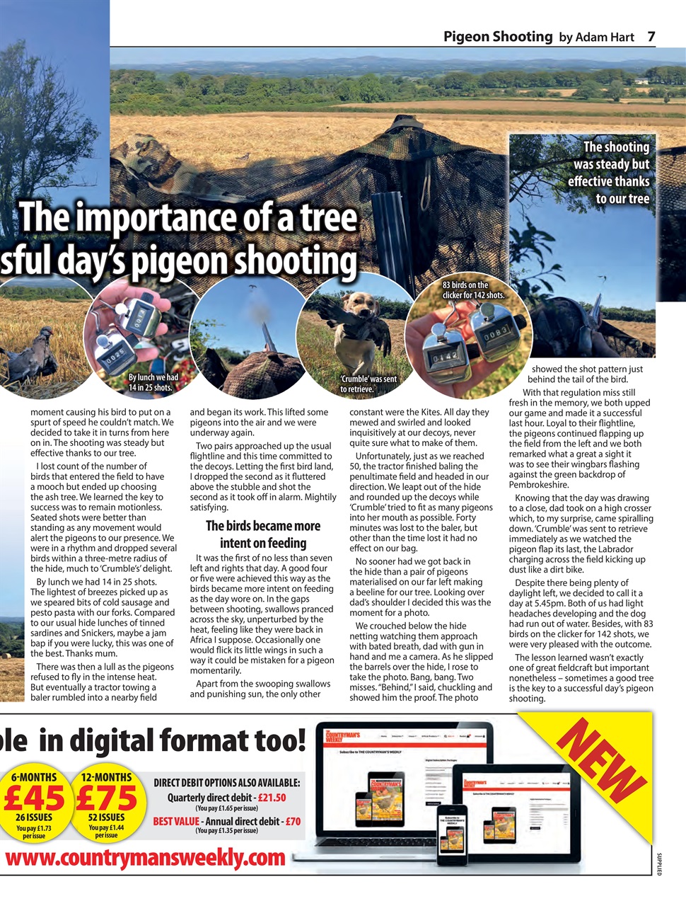 Countryman's Weekly Preview Pages