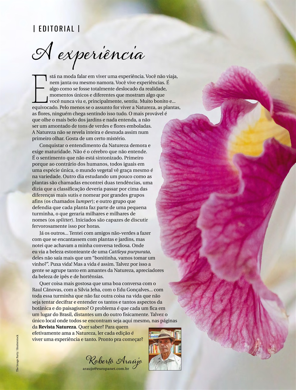 Natureza Preview Pages