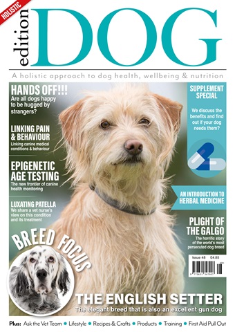 Edition Dog issue Edition Dog Issue 48