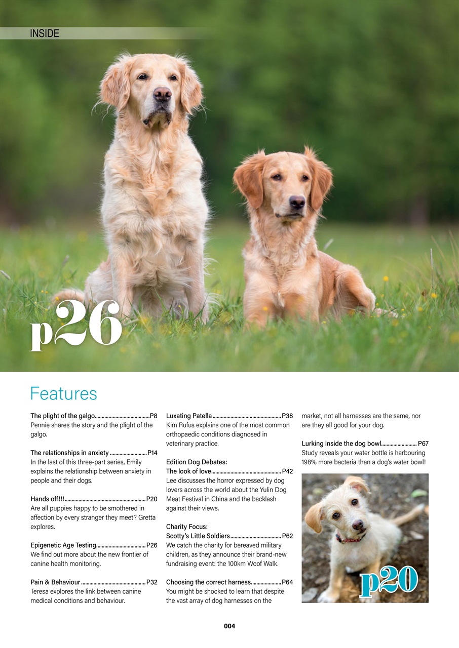 Edition Dog Preview Pages
