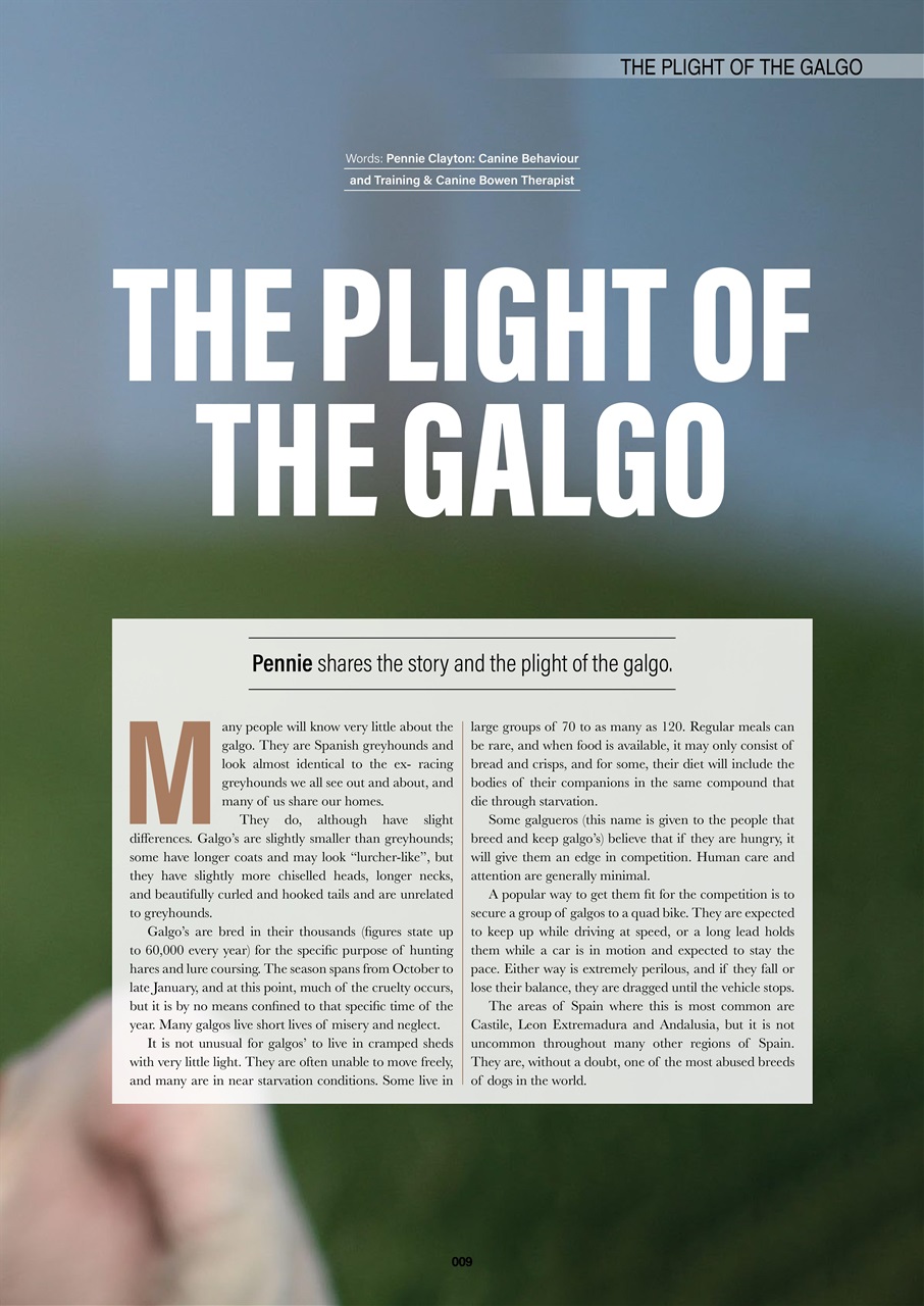 Edition Dog Preview Pages