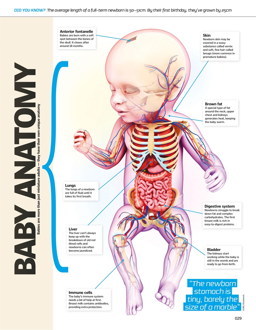 How It Works Bookazine Preview Pages