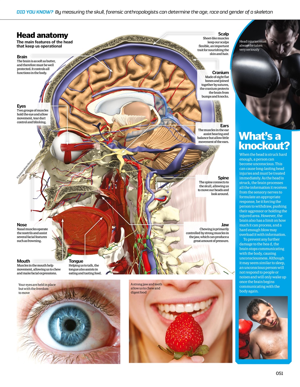 How It Works Bookazine Preview Pages