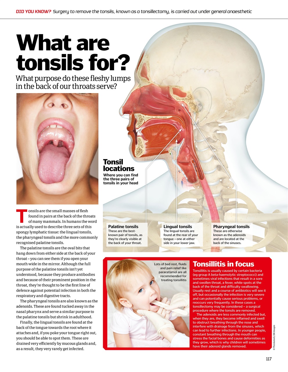 How It Works Bookazine Preview Pages