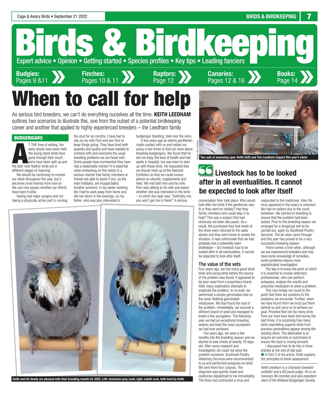 Cage & Aviary Birds Preview Pages