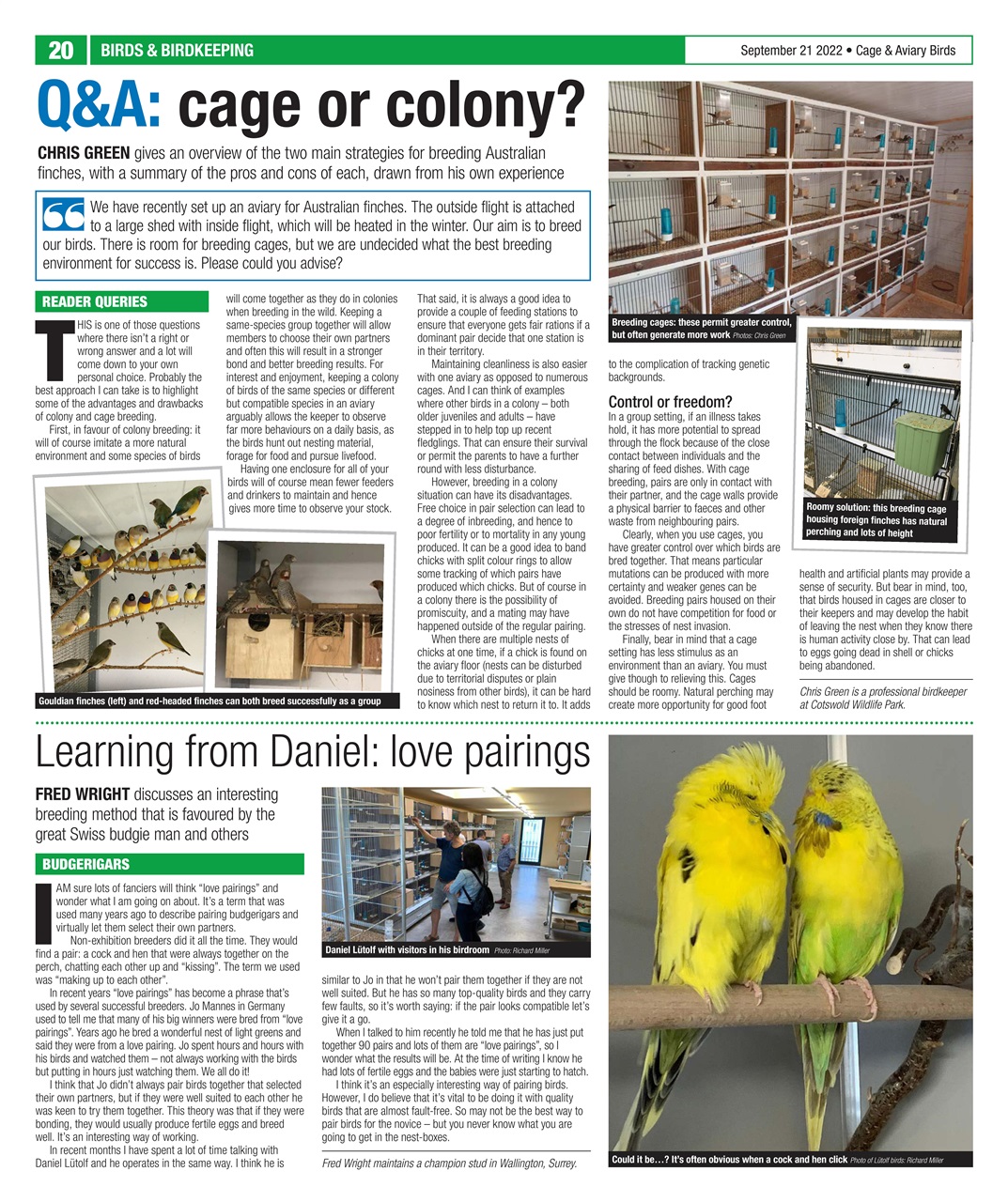 Cage & Aviary Birds Preview Pages