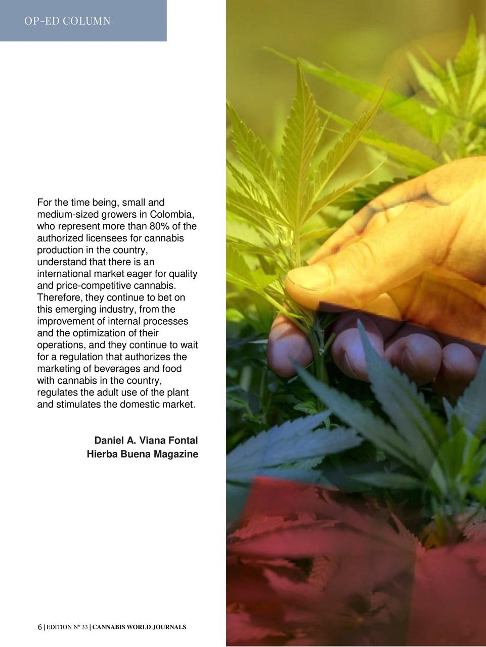 Cannabis World Journals Preview Pages