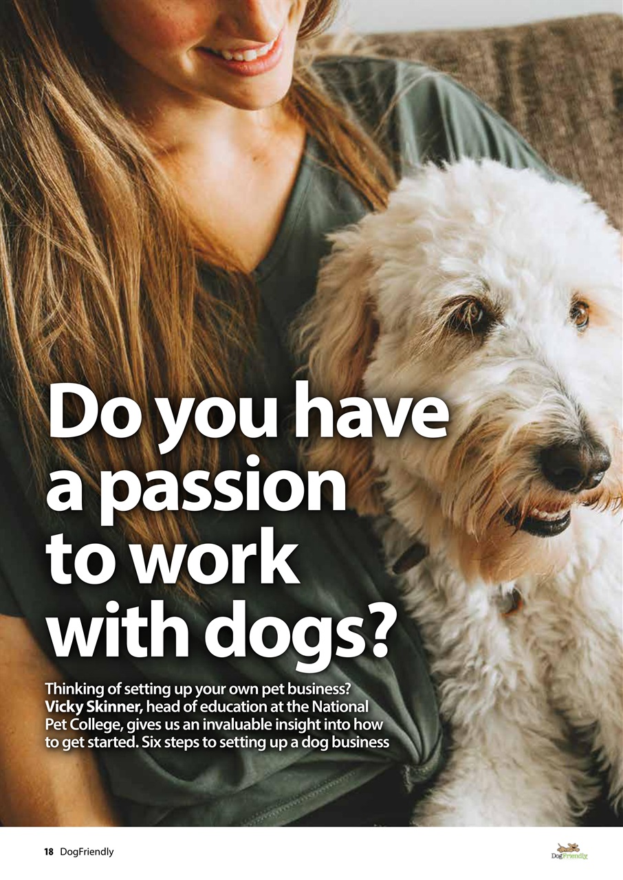 Dog Friendly Preview Pages