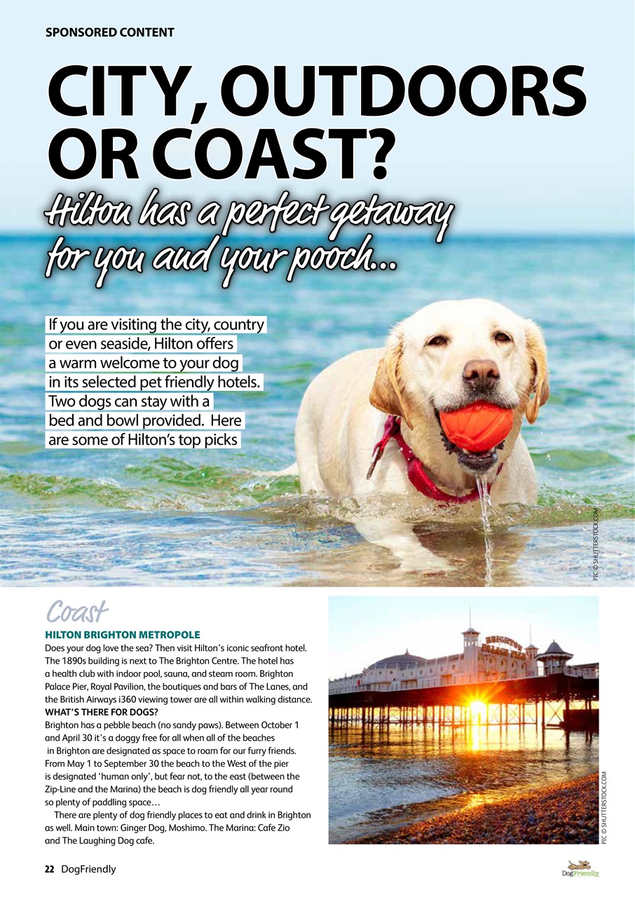 Dog Friendly Preview Pages