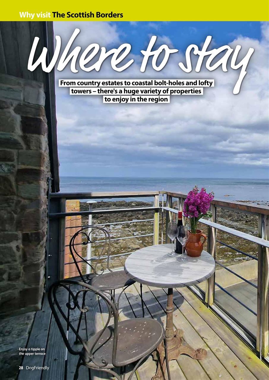 Dog Friendly Preview Pages