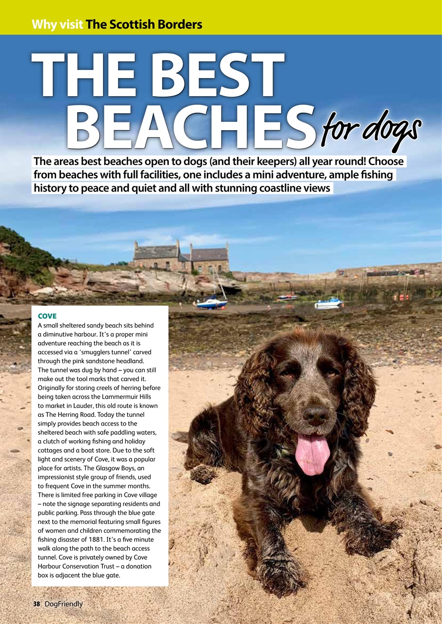 Dog Friendly Preview Pages