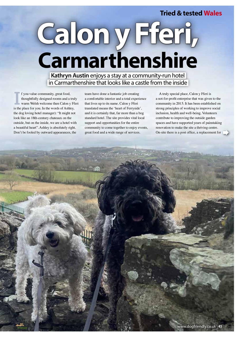 Dog Friendly Preview Pages