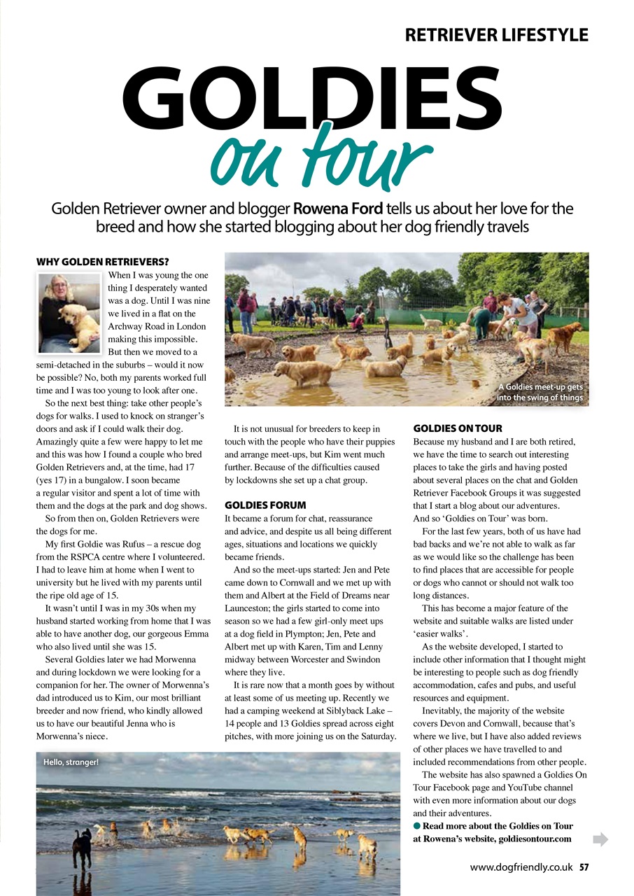 Dog Friendly Preview Pages