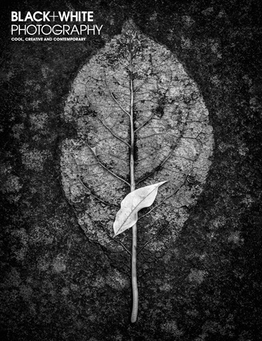 Black+White Photography issue Issue 270