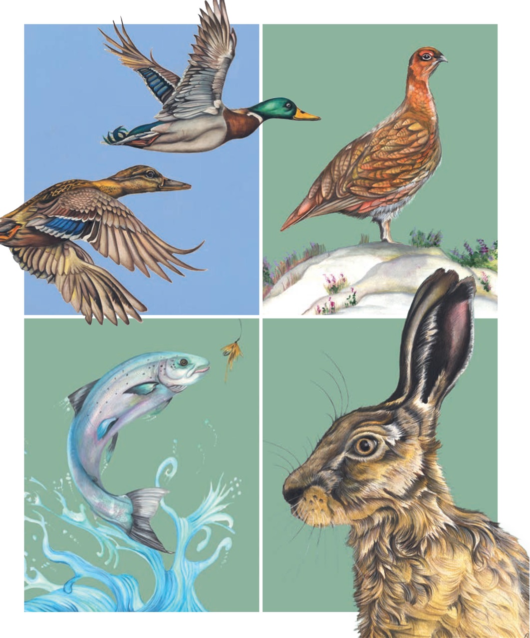 Fieldsports Journal Preview Pages