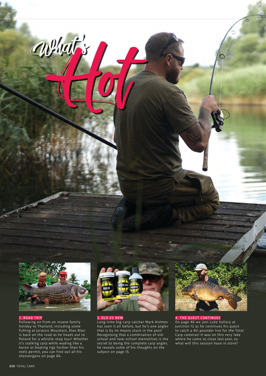 Total Carp Preview Pages