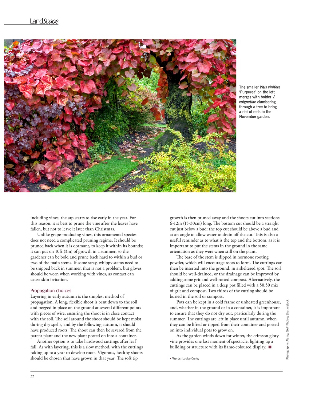 LandScape Preview Pages