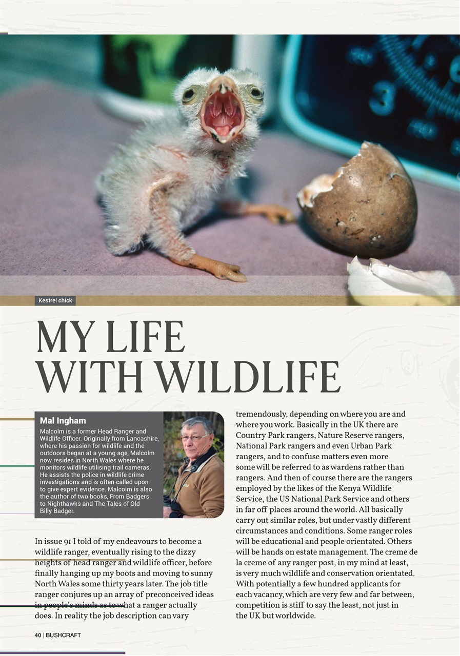 Bushcraft & Survival Skills Magazine Preview Pages