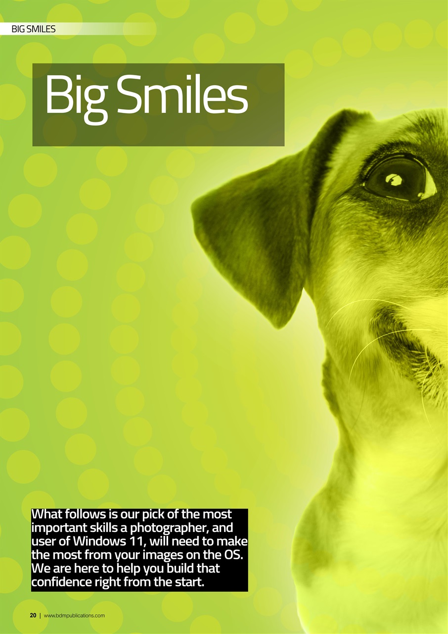 Windows User Preview Pages