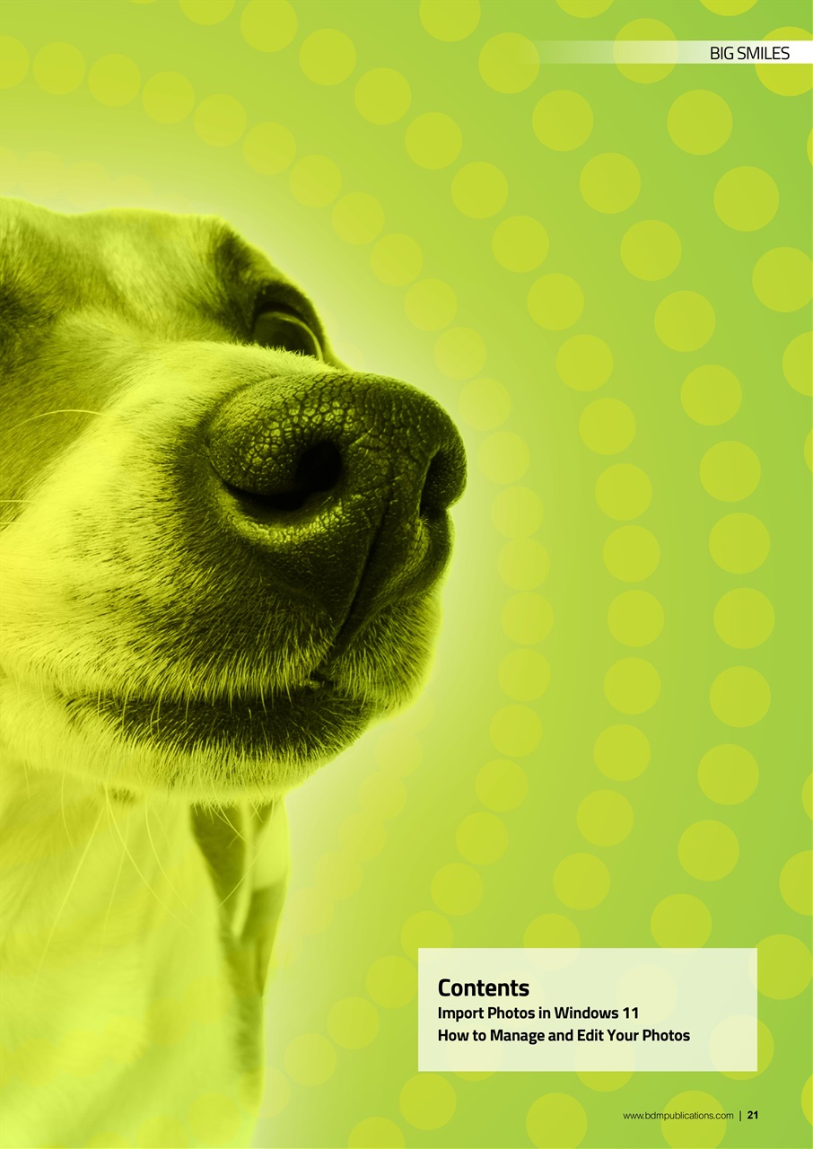 Windows User Preview Pages